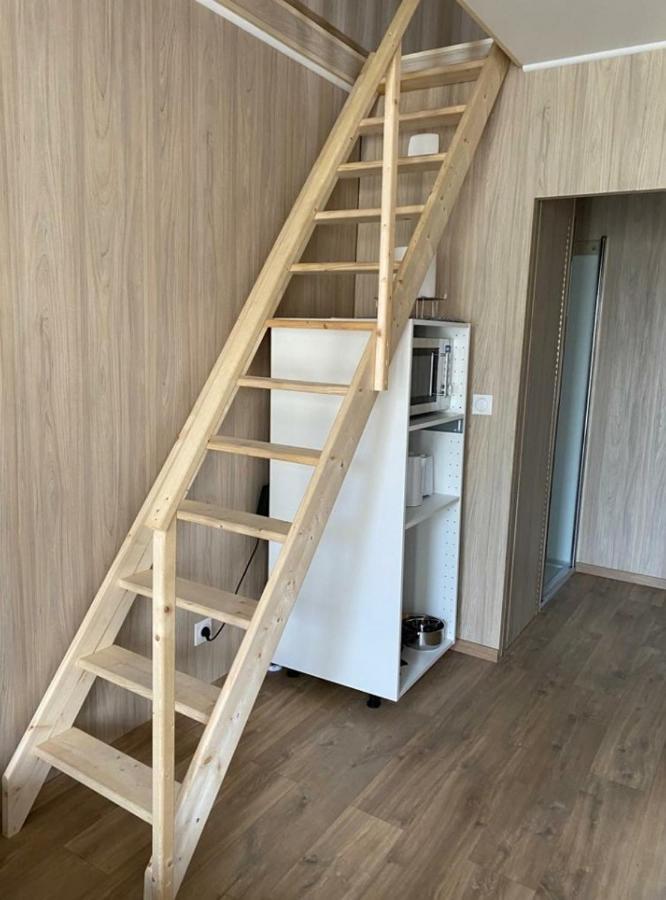 Duplex Atypique En Bois Entre Ville Et Verdures La Chapelle-Saint-Mesmin Luaran gambar